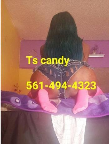 5614944323, transgender escort, Keys