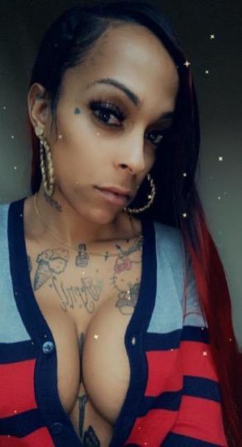 8503180409, transgender escort, Keys